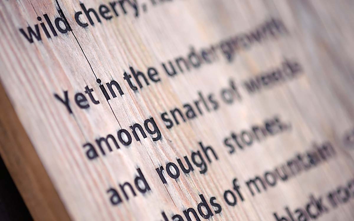 The Letterfrack Poetry Trail